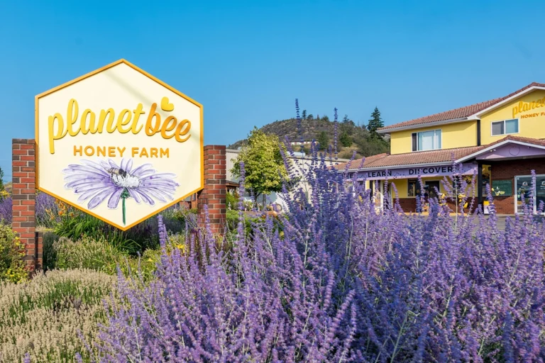 PlanetBee 768x512