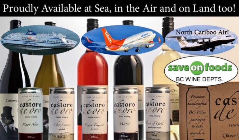 CastorodeOroEstateWinery webpage 5cans 5bottles sea air land crop 768x451