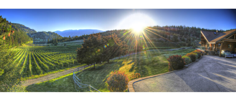 Sunrise Full size nighthawk winery ad 768x331